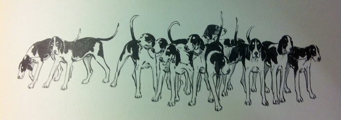 Les chiens du comte de Chabot - Illustration tirée de l'ouvrage La Vénerie française contemporaine (1914) - Le Goupy (Paris)
